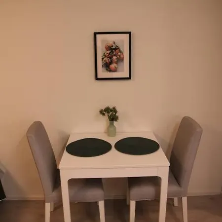 Kodikas Hyvin Varusteltu Yksioe, Autopaikalla アパート ヴァンター