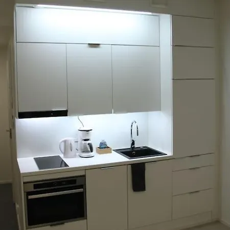 Kodikas Hyvin Varusteltu Yksioe, Autopaikalla Apartamento