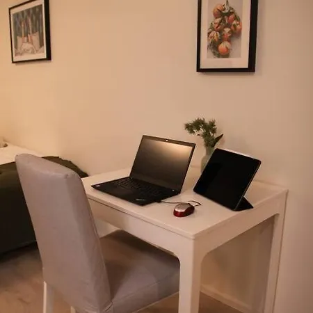 Apartment Kodikas Hyvin Varusteltu Yksioe, Autopaikalla